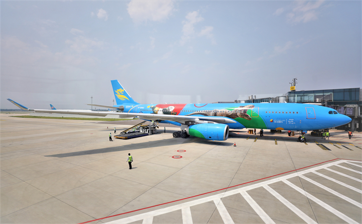 到林芝航空貨運