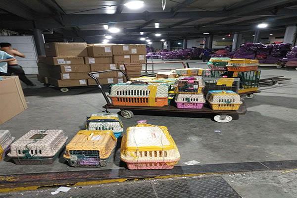 西安機場快遞公司